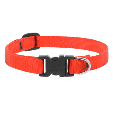 BASICS Adjustable Collar ORANGE 1/2″ FOR SMALL DOGS - 8